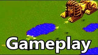 Desert Falcon Atari 7800 Gameplay