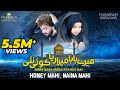 Mare Baba Mara Raya Koi Nai Honey Mahi Naina Mahi Noha 2023 1445