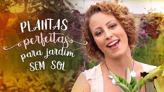 Não bate sol no jardim? Estas plantas de sombra são PERFEITAS! Não bate sol no jardim? Estas plantas de sombra são PERFEITAS!