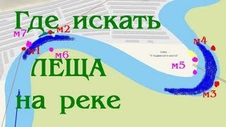 Выбор места ловли леща на малых реках