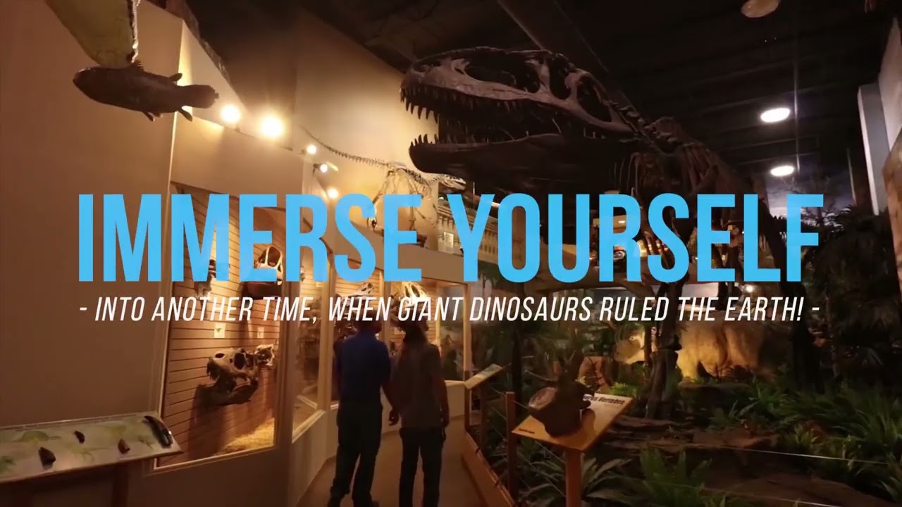 Dinosaur Museum - Brand Commercial