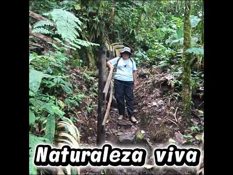 Senderiando