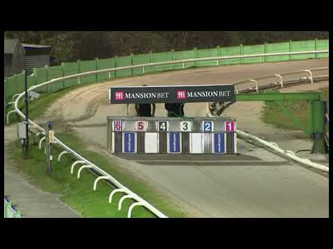 Signet Otis - BGBF British Breeders Stakes SF3