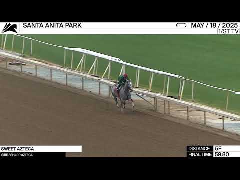 Millie Ball previews the Desert Stormer Stakes at Santa Anita Park