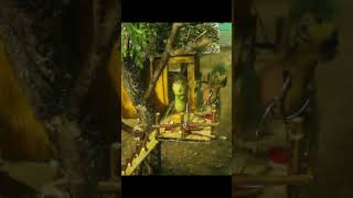 DIY Treehouse Build Ultimate Step by Step Guide for Backyard Fun!