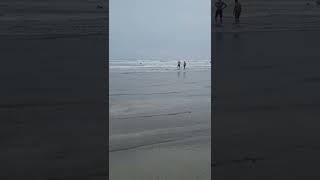 【海】片貝海水浴場の波 #shorts