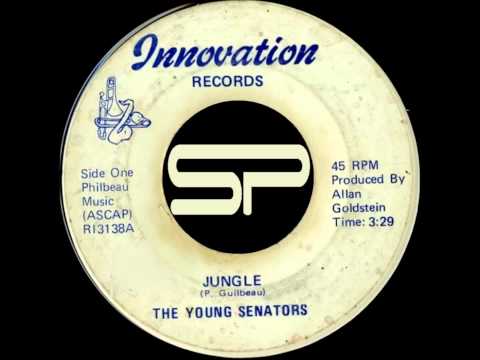 RARE FUNK 45t - YOUNG SENATORS - Jungle - 1972 Innovation