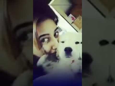 I with my dog and cat.#Swastika _Dutta_ Official#adrijaroy #krushalahuja #instragramreels