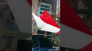 Download lagu Like Elsa safira mp3