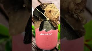 jiggers removal #shortvideo #shorts #jiggersremoval #jiggers