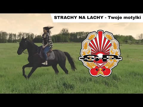 STRACHY NA LACHY - Twoje motylki [OFFICIAL VIDEO]