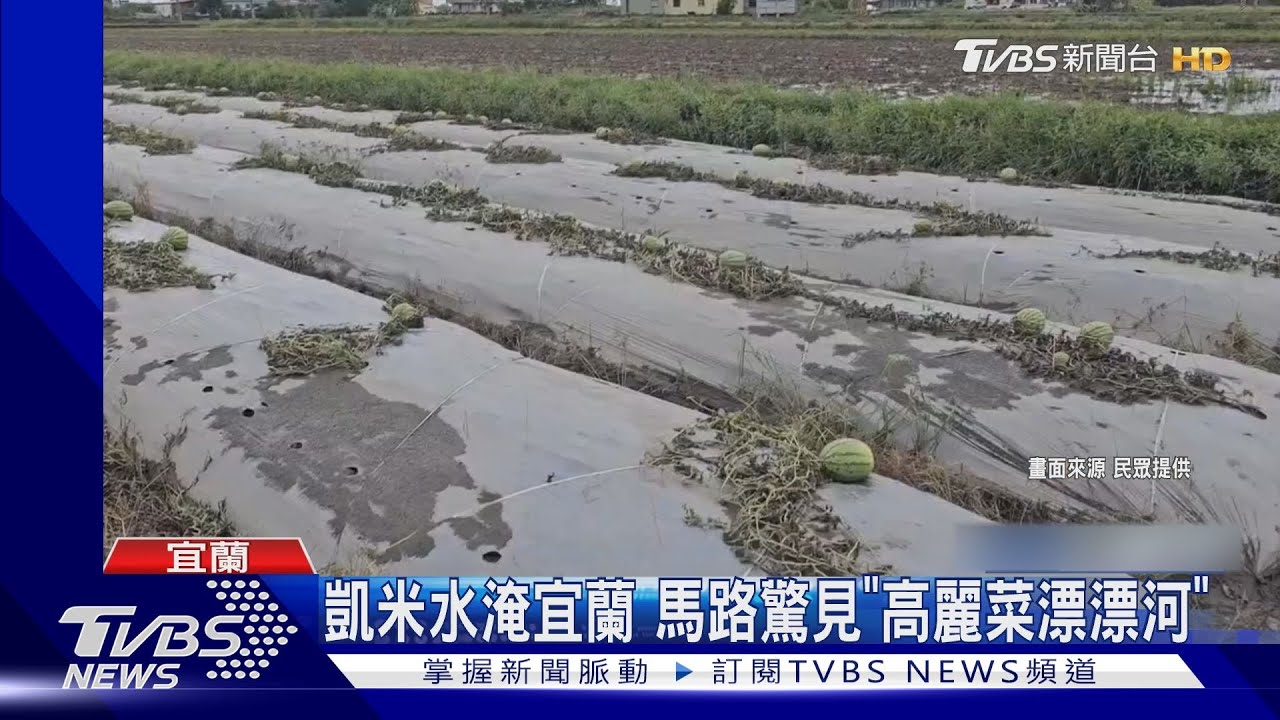 凱米水淹宜蘭 馬路驚見「高麗菜漂漂河」