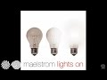 Lenny Ibizarre & Maelstrom - Wasted Youth (Maelstrom Version)