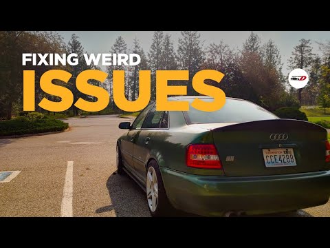 The S4's Most Annoying Problem | Finding & Fixing Broken Windows