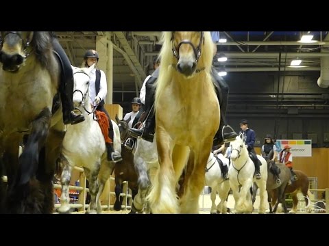 , title : 'Les 9 races de chevaux de trait français au Salon International de l’Agriculture de Paris 2017'