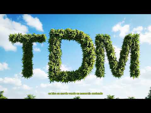 TDM - FUI NO MEU CORRE - D'senna, Fernvnd$, Jxcobs [prod.D'senna]