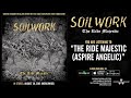 SOILWORK - The Ride Majestic (OFFICIAL ALBUM ...