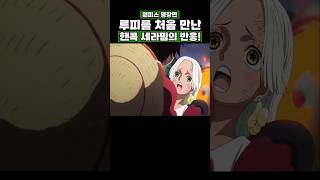 원피스) 루피를 처음 만난 핸콕 세라핌의 반응! #onepiece #원피스
