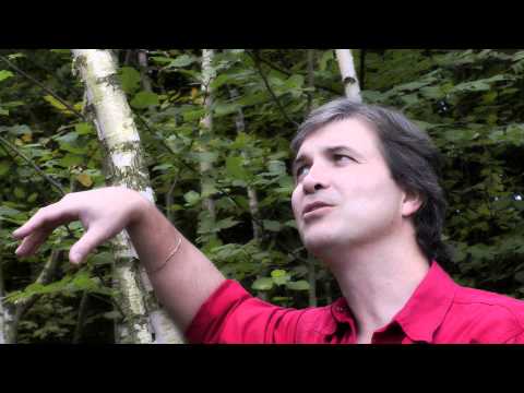 Kdyby tady byla taková panenka