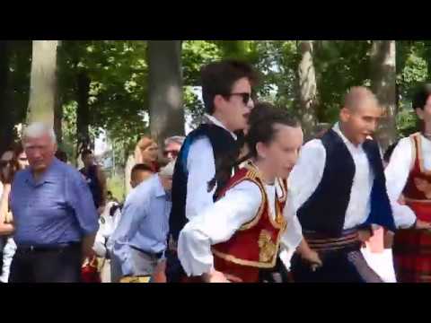 Бела Радо Дража Винона 2019