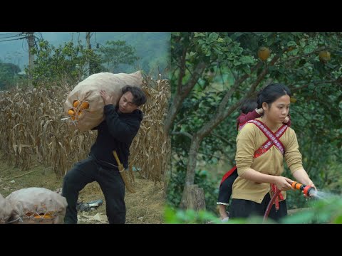 Love & Challenges | Will Hung really overcome the difficulties to be with Ly Tieu Ca?