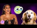 Top 25 CUTEST Animal Acts Ever On America S Got Talent