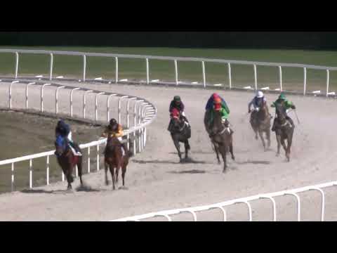 2022.04.17. 02. futam - GRÓF NÁDASDY TAMÁS EMLÉKVERSENY (V.kat.) (szintetikus pálya)