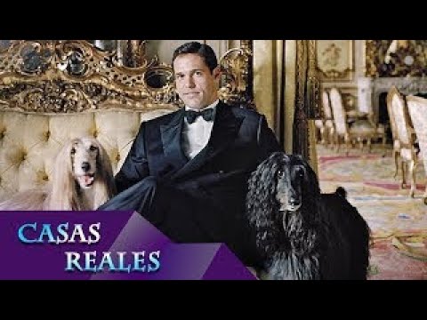 Coffee Break Show 2 Bloque 2 Canal 2 Tele Contenidos Tanti