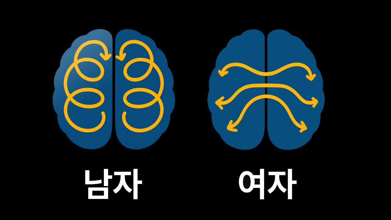 뇌과학이 말하는 「남성과 여성의 결정적 차이」