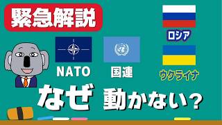 67 【ウクライナ情勢】NATOと国連はなぜロシアの侵略を止められないの？