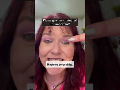 What happened with Subra? Important PLEASE listen! #catbehavioralliance #veterinarians