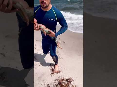 The little Mermaid   (Collectible DOLL) available for orders Artist: @dmitry.arts #thelittlemermaid