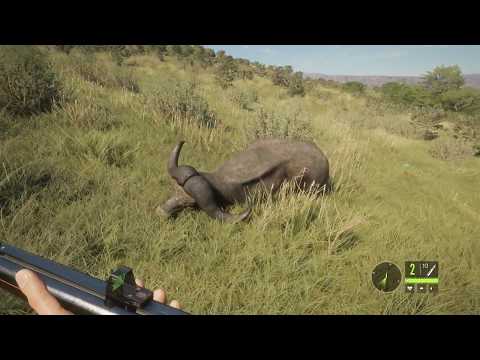 theHunter Call of the Wild Cape Buffalo One Shot Kill from 165 yds. with the 470