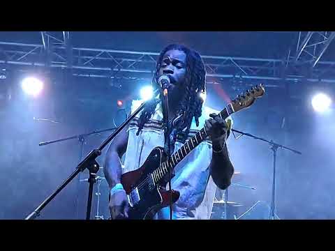 GREEN WOODS ROOTS AND CULTURE REVIVAL - EARTHKRY