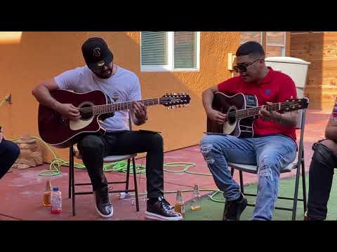 El Patrón MZ. Marca MP / Código FN