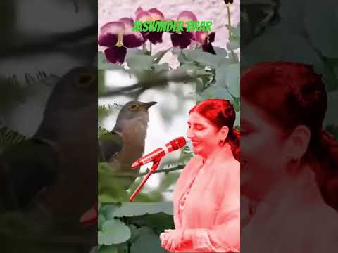 Short Video -  Jaswinder Brar.