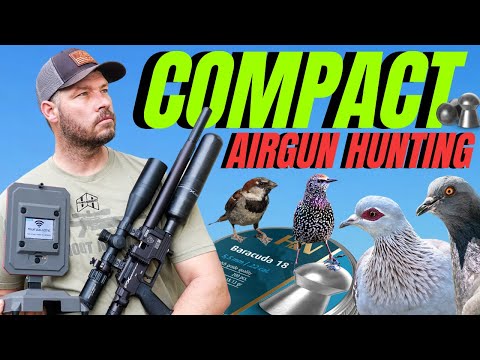 COMPACT AIRGUN HUNTING WITH FX PANTHERA I TRUE BALLISTIC CHRONOGRAPH REVIEW I AIRGUN PEST CONTROL