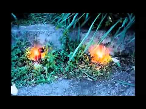 Brasilintime Documentary ft  Madlib,babu,cut Chemist