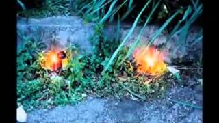 Brasilintime Documentary ft  Madlib,babu,cut Chemist