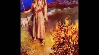 Buffalo - The Prophet