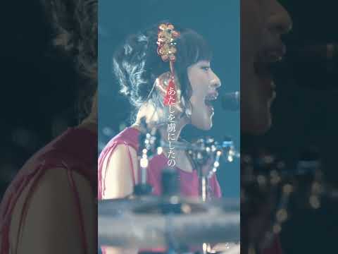 【SILENT SIREN】-チェリボム(Live)-　#SILENTSIREN #チェリボム #Live ＃サイサイ