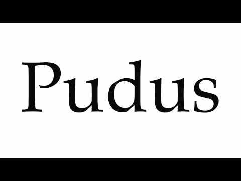 How to Pronounce Pudus