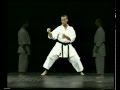 Kata Enpi Bunkai