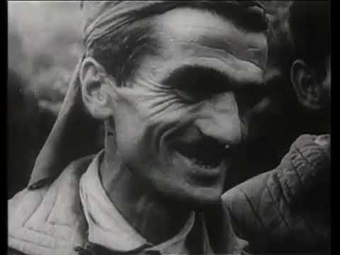 Jetë me 10 Fjalë parodi. Leonard Bombaj (nga Simfonia e Pritjes)