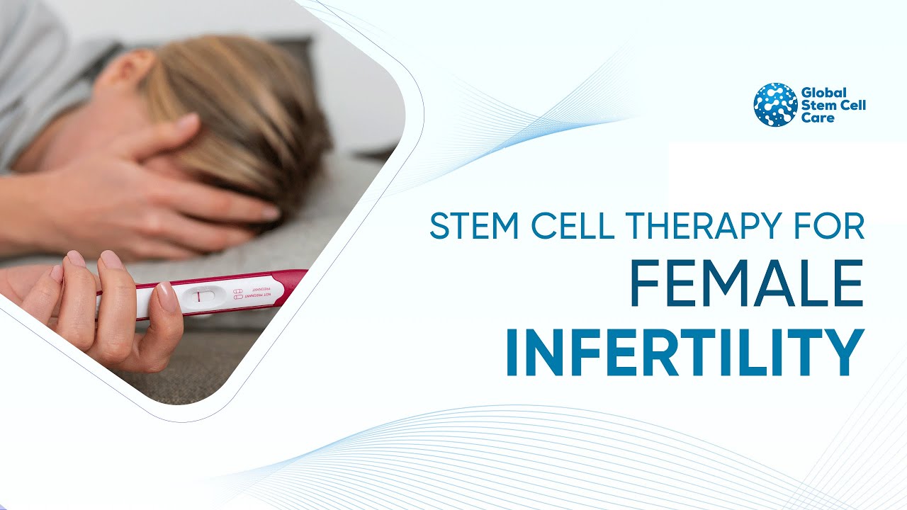 Stem Cell for Female Infertility | Organ related problem | Best Treatment For Female Infertility 