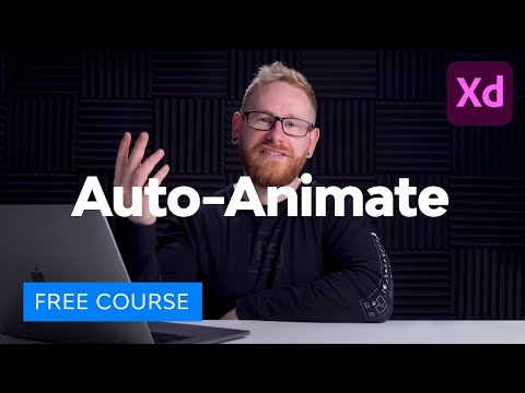 Graphic Design Basics FREE COURSE