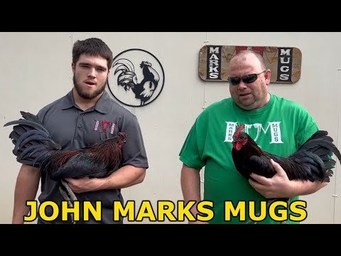 BLACK !! Beautiful Birds Marks Mugs - John Anthony Marks