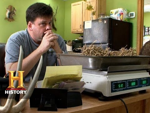 Appalachian Outlaws: Tony Struggles to Make Deliveries (S2, E6) | History