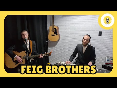 Feig Brothers - The Perlowitz Show
