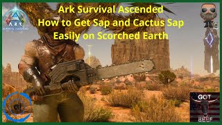 Ark Survival Ascended [PS5] How to Get Sap and Cactus Sap Easily on Scorched Earth